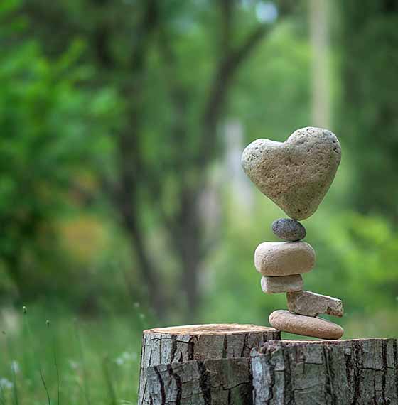 rocks balance on log