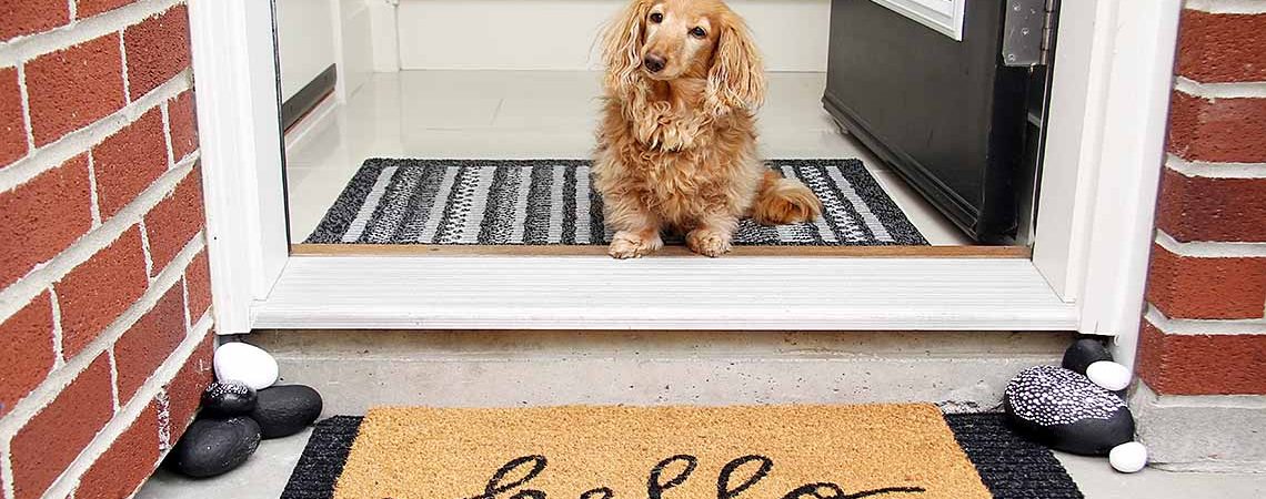 Longhair dachshund sitting in the front entrance of a home by a door mat that says Hello.