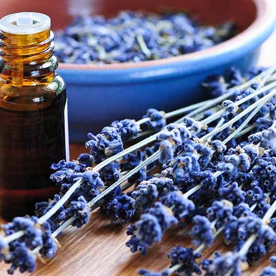 Lavender herb and essential oil